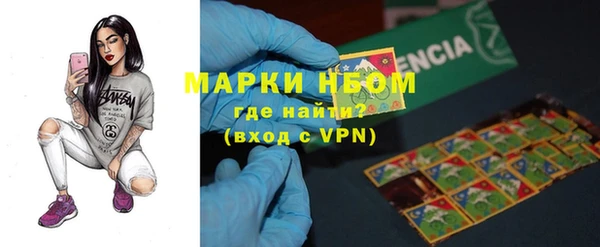 дмт Белокуриха
