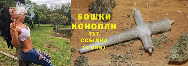 дмт Белокуриха