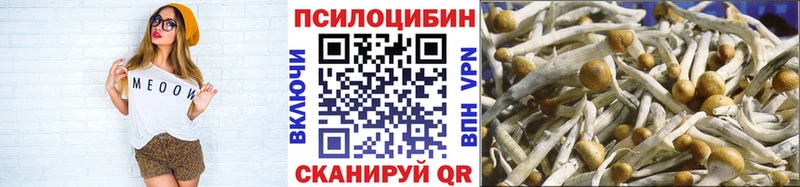 Галлюциногенные грибы GOLDEN TEACHER  цена наркотик  Чудово 